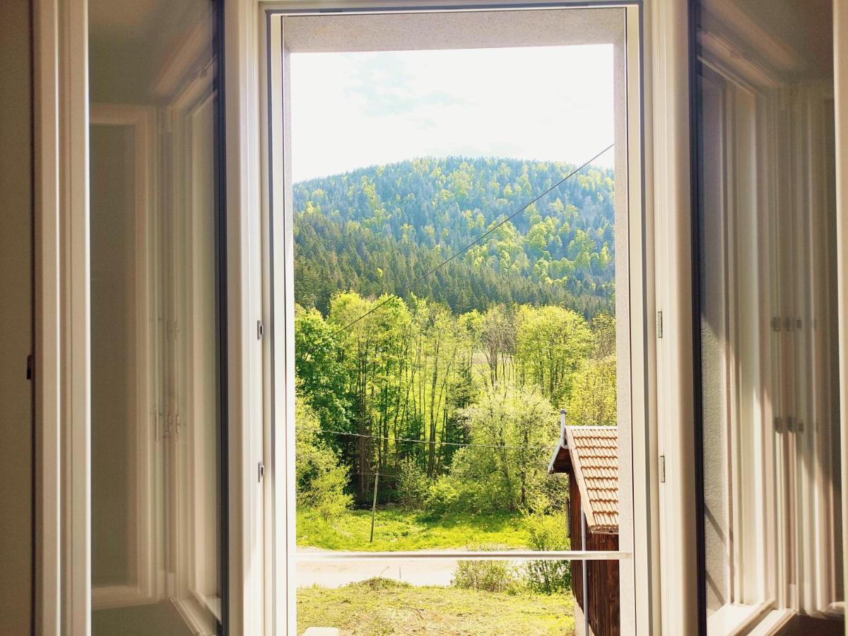 ⁂⁂ Le Chamois Appartement Cledicihome / Magnifique Vue Sur Les Montagnes / 4 Kms De Gerardmer ! ⁂⁂ Rochesson Экстерьер фото