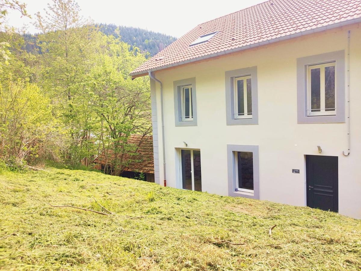 ⁂⁂ Le Chamois Appartement Cledicihome / Magnifique Vue Sur Les Montagnes / 4 Kms De Gerardmer ! ⁂⁂ Rochesson Экстерьер фото